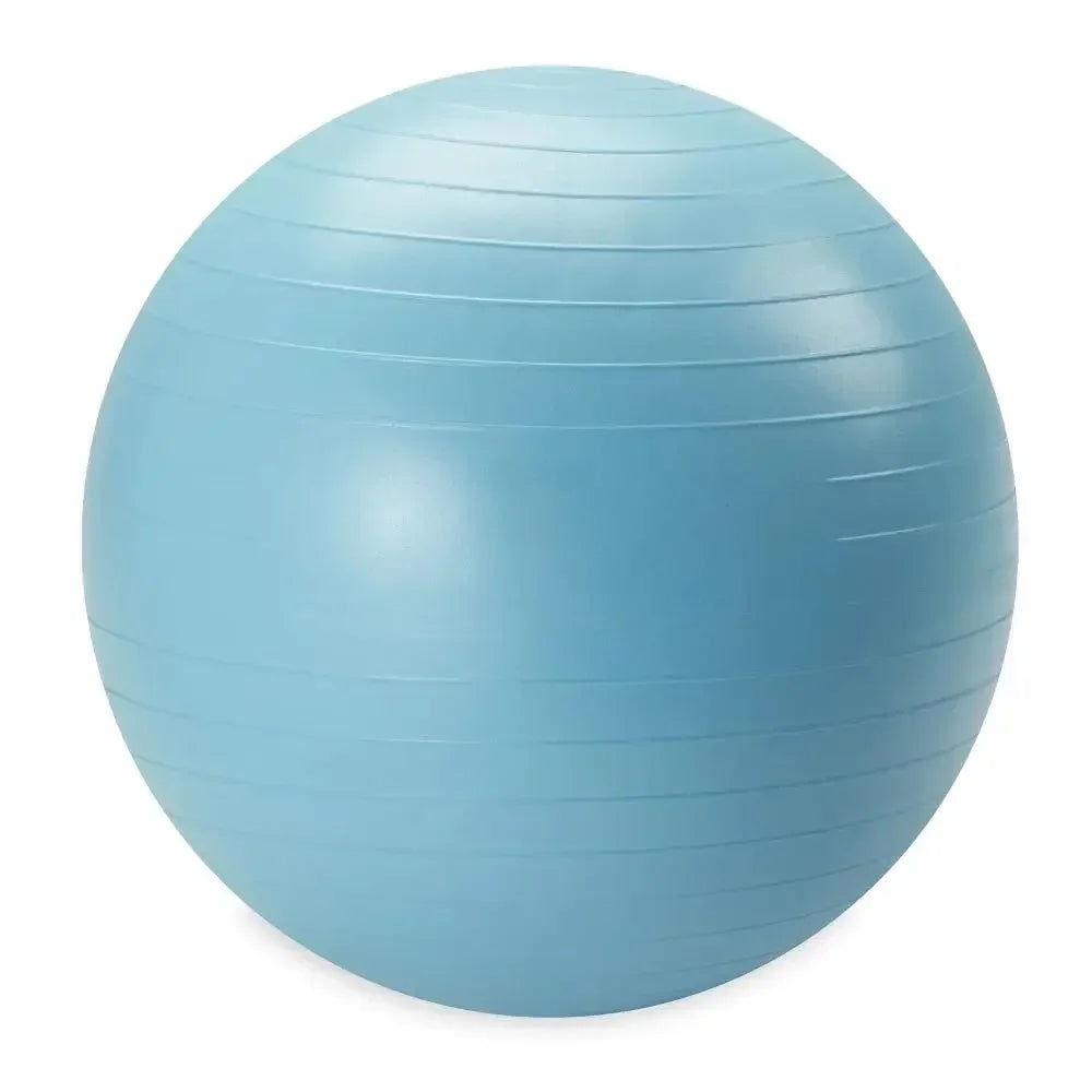 Weighted Stability Ball 55CM -75CM, Pump Included, yoga ball  exercise ball  balance ball
