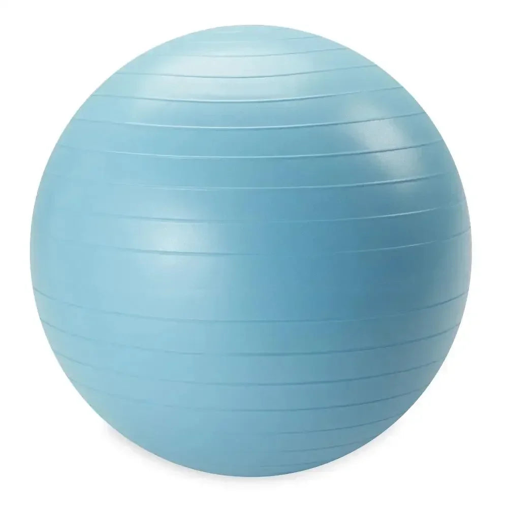 Weighted Stability Ball 55CM -75CM, Pump Included, yoga ball  exercise ball  balance ball