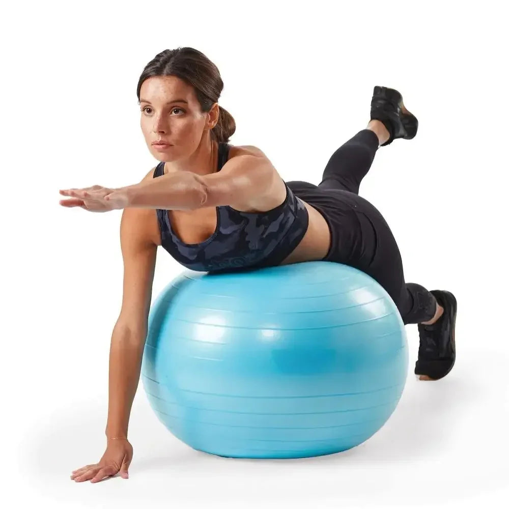 Weighted Stability Ball 55CM -75CM, Pump Included, yoga ball  exercise ball  balance ball